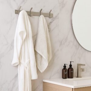 Brushed Stainless Steel Coat Rail With Double Hooks - Image 1